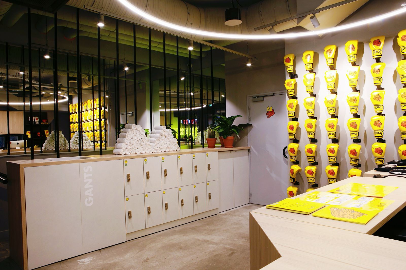 Boxing Bootcamp - Team Building Vitalité